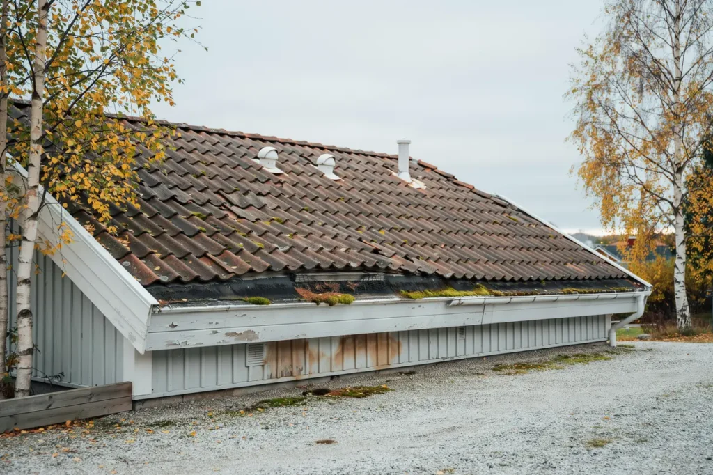 tecken p att taket ventilerar d ligt s f rebygger du fukt m gel och on diga energif rluster